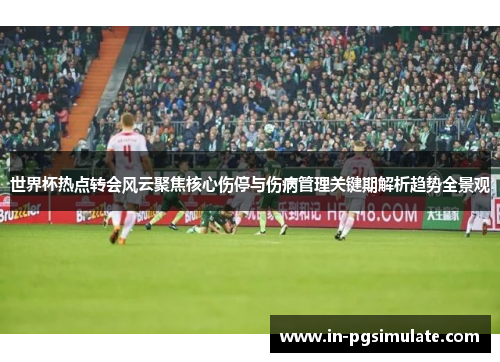 世界杯热点转会风云聚焦核心伤停与伤病管理关键期解析趋势全景观 世界杯热点转会风云聚焦核心伤停与伤病管理关键期解析趋势全景观